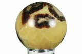 Polished Septarian Sphere - Madagascar #230393-1